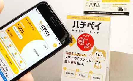 hachipay1